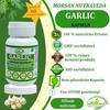 Morsan Nutraveda Garlic  Extract Capsule - 60 Veg. Capsules X 500 Mg. | Supports Heart Health, Immunity(2 Packs of 60 Capsules)