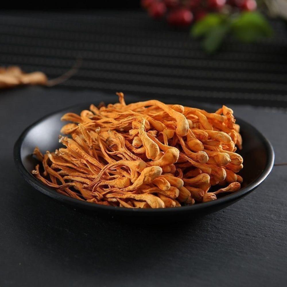 500g Čínská sušená bylina Jin Chong Cao Cordyceps Militaris