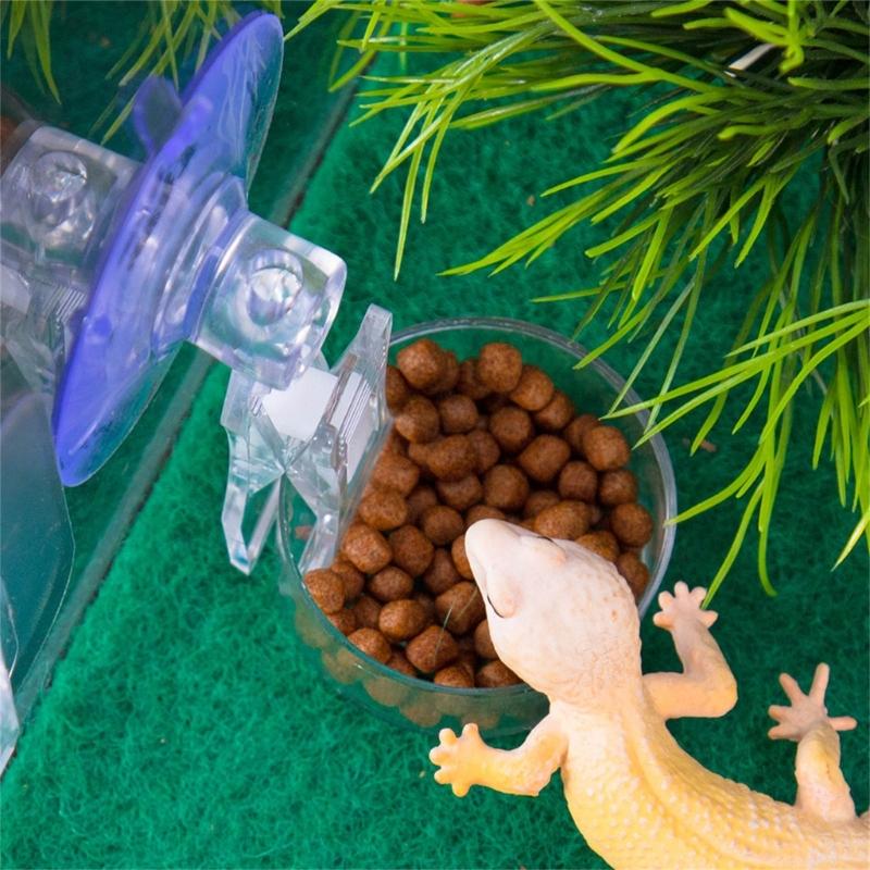 Reptiles Feeding Bowl Water Dish With Secure Suction Cup Safe Plastic Habitat Feeder Dish For Lizards Snakes Amphibians