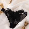 Transparent Butterfly Mesh Briefs Women Low Waist Embroidery Underwear  Home