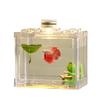 Creative Douyu Small Desktop Fish Tank with Light and Acrylic Aquascaping