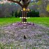 Garden Bird Hanging Metal Heart Decoration Unique Wall Decoration Easy Installation For Balcony Decoration