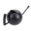 Watering Can for Outdoor Indoor Plants, Small 1000ML Stainless Steel Watering Pot with   Spout, Removable Nozzle, Metal Water Can for House Plant