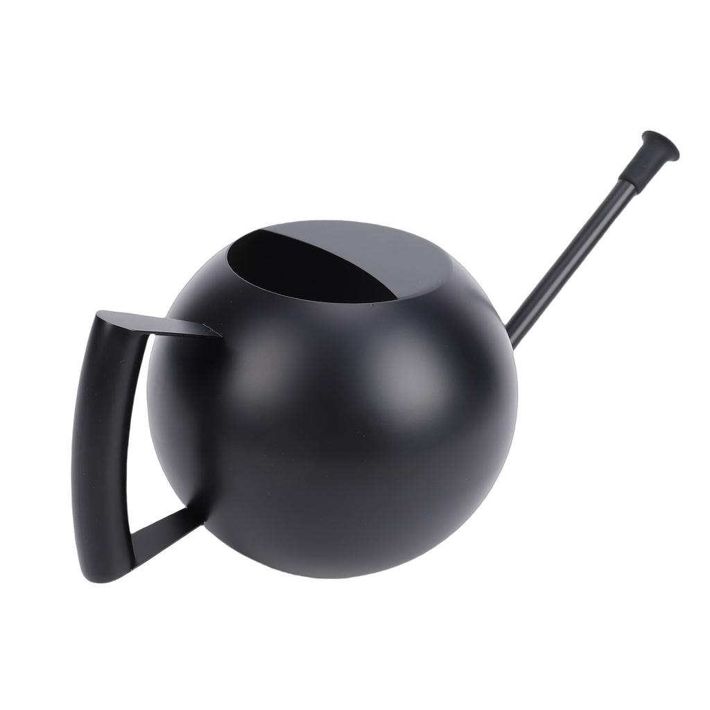 Watering Can for Outdoor Indoor Plants, Small 1000ML Stainless Steel Watering Pot with   Spout, Removable Nozzle, Metal Water Can for House Plant