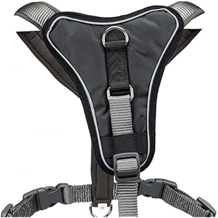 Harnais - TRIXIE - 1998316 - Taille 40-45 cm - Couleur Graphite - Rembourré en néoprène
