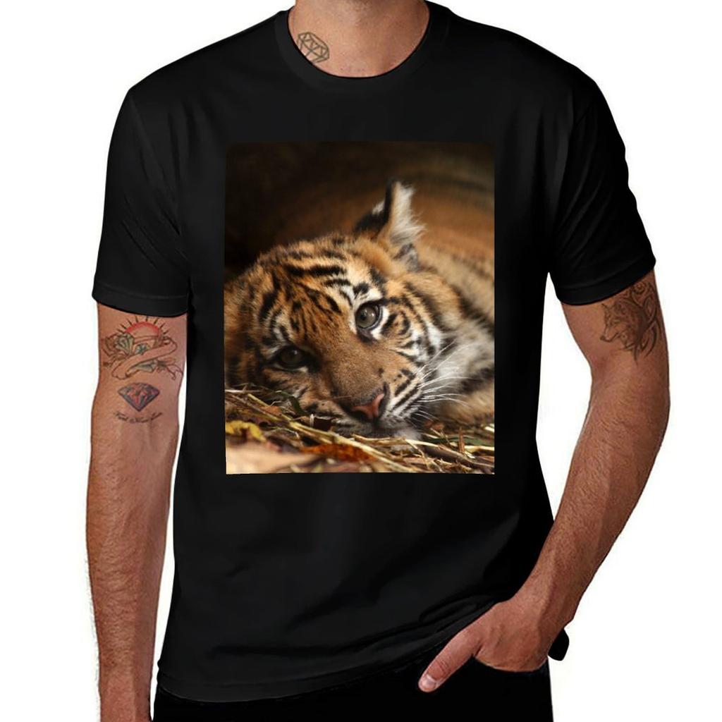 Baby Tiger - Model T-Shirt Plus Size Quick Dry Sports Tee