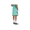 Jordan X NBA Charlotte Hornets Player Edition Shorts Herrenshorts Mintgrün FQ4400-356