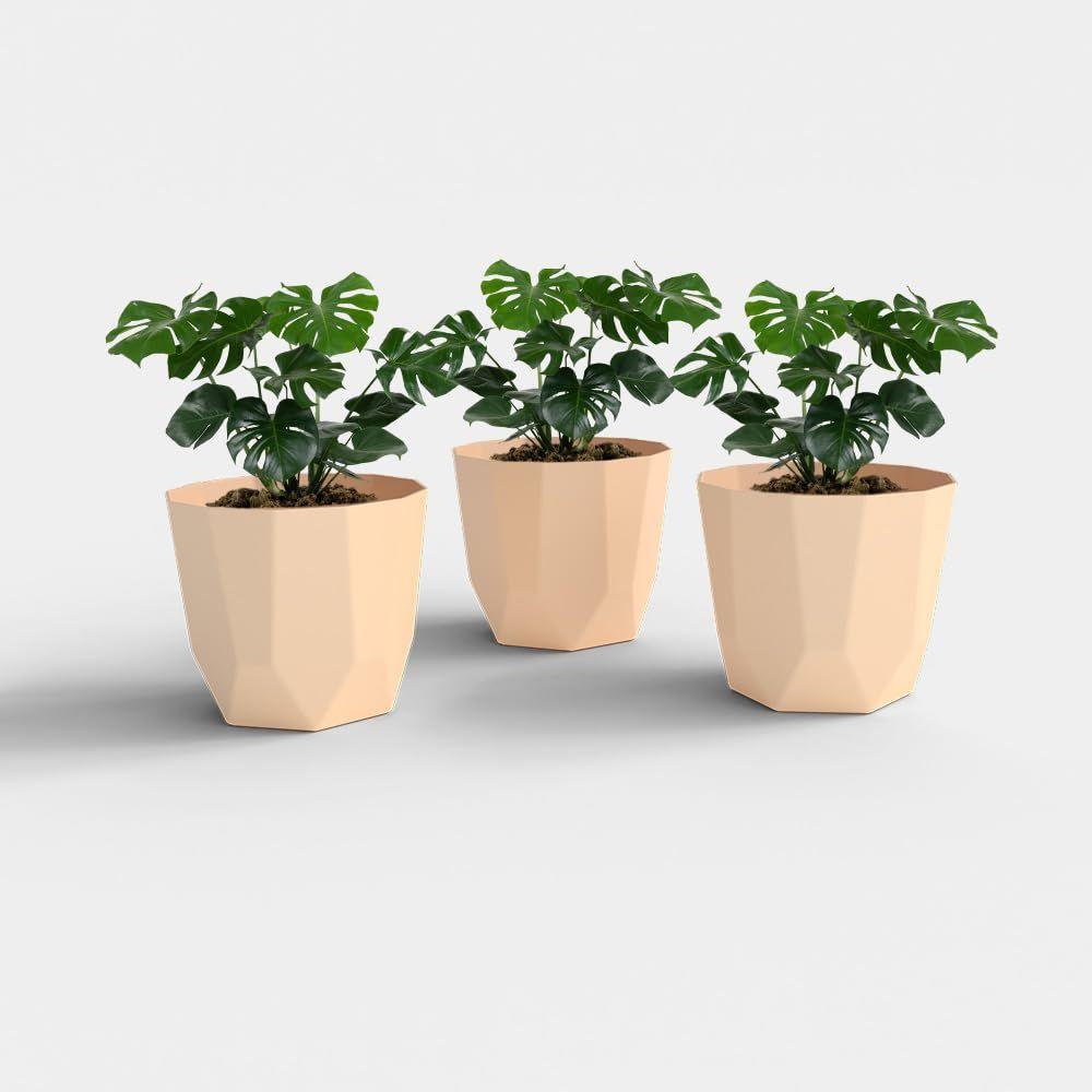 Hexa Plastic Flower Pot with Drainage Holes Round Planter Pot Suitable for Indoor Outdoor Kitchen Garden (Beige, 6 INCH - 3 Pcs)