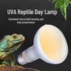 UVA Reptile Day & Night Heating Lamp for Lizard, Tortoise, and Terrarium
