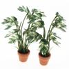 Mini Plastic White Variegated Monstera Leaf Decoration For Dollhouses Accessories And Toy Furniture