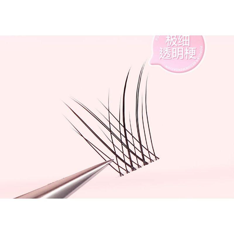 Bonnie Wisp - False Eyelashes Clusters (Various Designs)