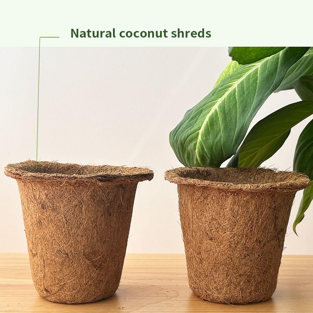3pcs Natural Plant Seedling Cups Biodegradable Plant Containers Pots Nursery Pots Promoting Growth