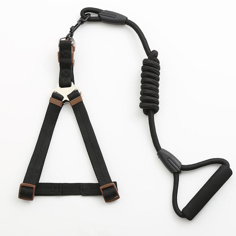Foam Handle Dog Leash and Harness Set - Two Pieces Extra Small