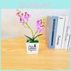 Aphrodite Potted Phalaenopsis Plant 3d Printing Design For Decor Indoor