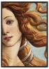 Poster Birth of Venus Sandro Botticelli