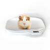 LCD Display Newborn Pet Scale High Precision Small Animal Scale Pet Scale Tray  Veterinary Use