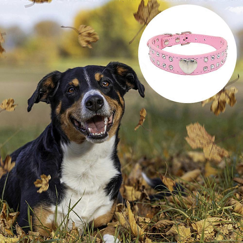 Animals & Pet Supplies > Pet Supplies > Pet Collars & Harnesses