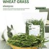 Rabbit & Guinea Pig Food: Timothy, Alfalfa, Fruit, Tree, Wheat, Oat Blend