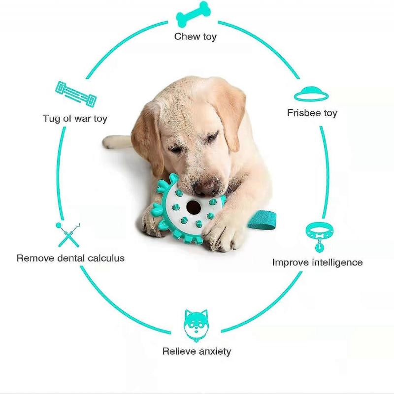 Toothbrush Dog Toys for Chew Cleaning, Indestructible Dog Toys for Aggressive Chewers, Durable Rubber Dog Toys for Small and Large Breeds