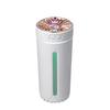 Humidificateur d'Aromathérapie avec Lumières Colorées pour Maison & Voiture