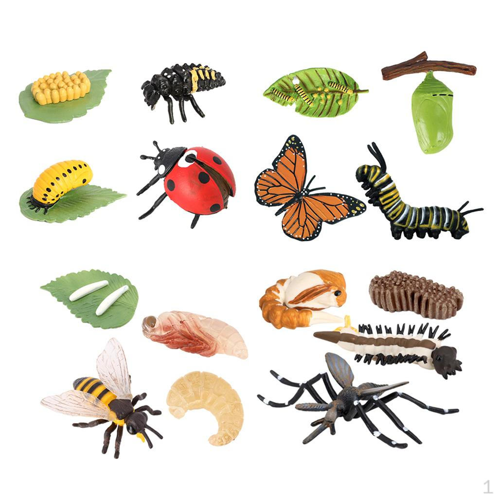 The World of Nature with Interactive STEM Toy Set