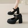 8CM Mary Jane shoes high heels fairy temperament fairy style 2025 new spring commuting thick heel French evening style single shoes