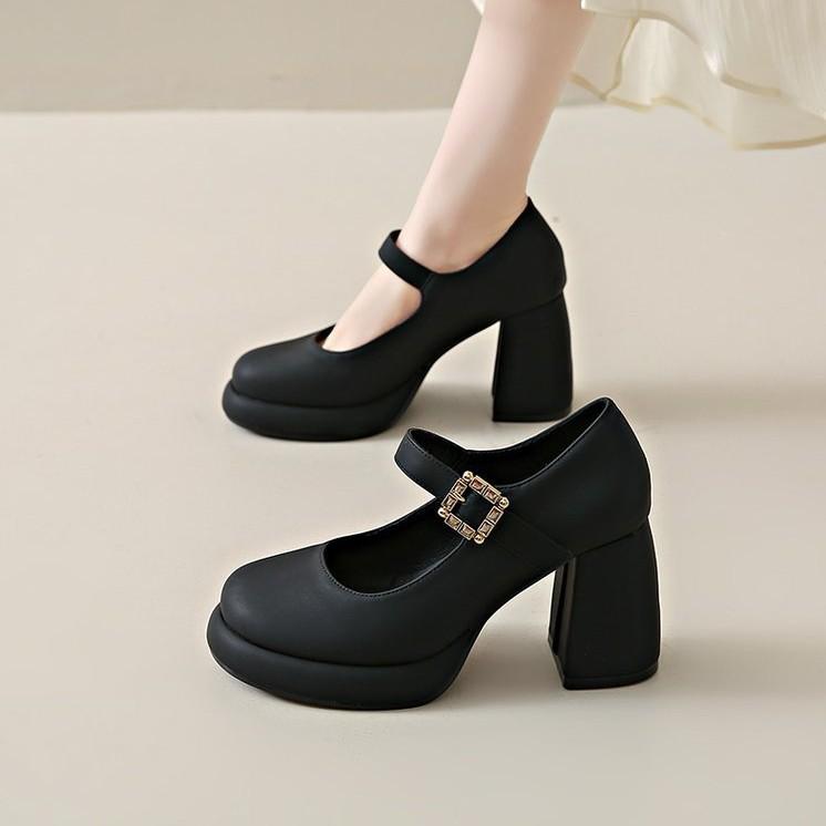8CM Mary Jane shoes high heels fairy temperament fairy style 2025 new spring commuting thick heel French evening style single shoes