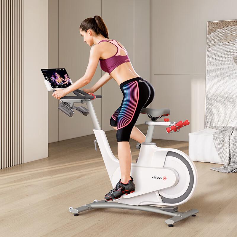 YESOUL V1 Magnetic Resistance Spin Bike
