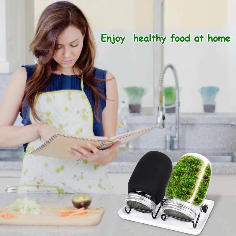 Seed Sprouting Jar Kit Wide Mouth Durable Glass Sprout Grower with Stainless Steel Screen for Easy Filling and Rinsing at Home