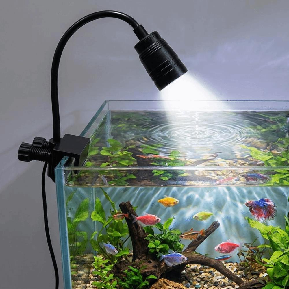 Variable Focus Fish Tank Clip Lamp Aluminum Zinc Zinc Alloy Aquarium Viewing Light South American Fish Tank