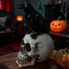 Resin Skull with Crow Ornament - Halloween Decoration and Gift