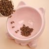 Cat Feeder Supplies Puppy Kitten Cat Food Bowl Water Feeder Container Pet Feeding Bowl Pet Supplies