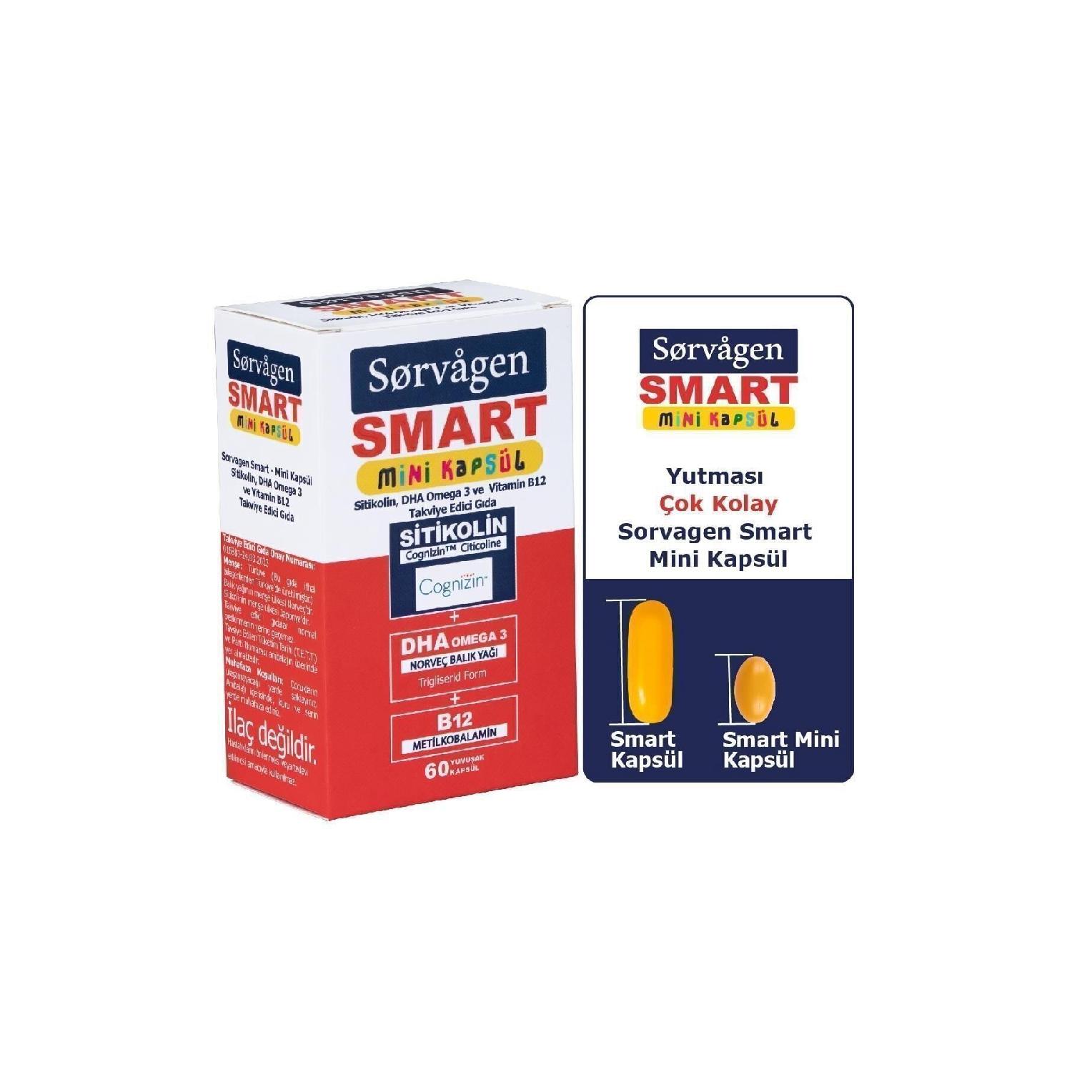 

Smart Mini Capsule Siticolin, Dha Omega 3 And B12 - 60 Capsules