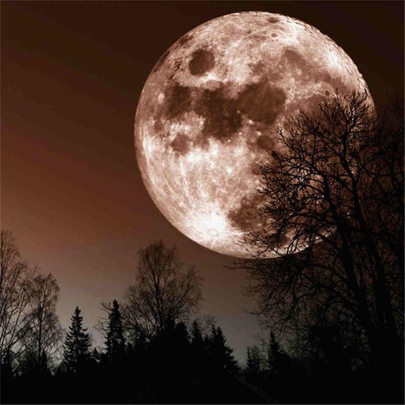 5D DIY Diamond Painting Full Round Scenery Mosaic Moon Picture Of Rhinestone Decor Home