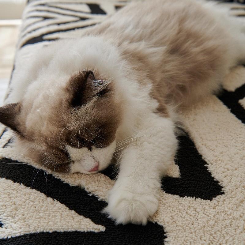 Simple Thicken Sofa Towel All Inclusive Anti-cat Scratch Furniture Protector Four Season Universal Non-slip Chair Mat Pet Pad