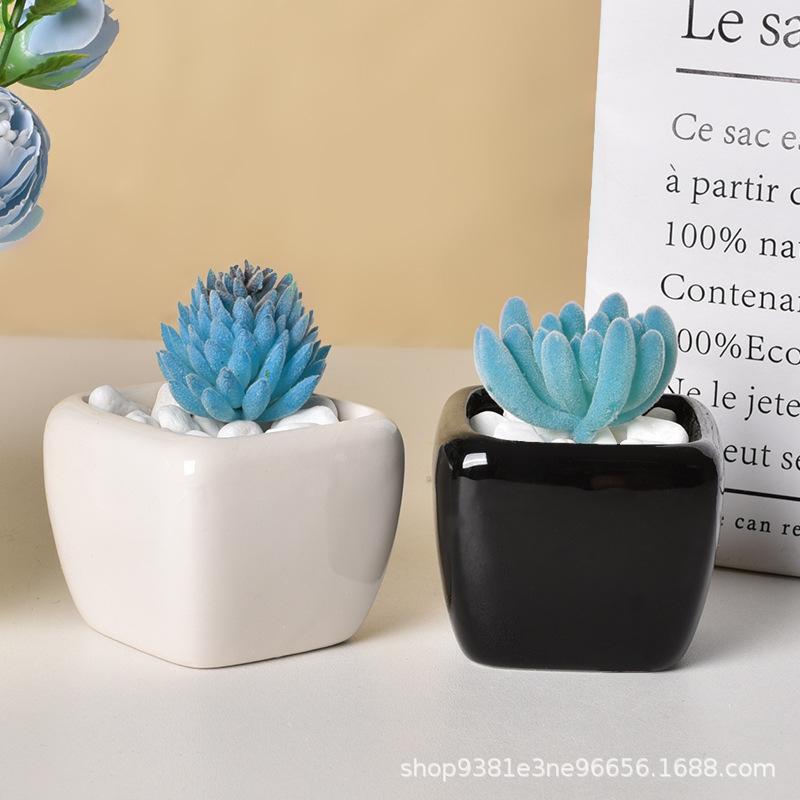 Mini Quadratisch Schwarz Weiß Keramik Sukkulenten Topf, Minimalistischer Schreibtisch Blumentopf, Kleiner Behälter für Daumenpflanzen