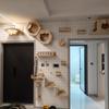 Wall-Mounted Cat Tree Combo Set Crafted from Solid Wood This Wall-mounted Aerial Playground Features a Cat Bed