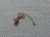 Part C 160 116 Quick Adjustment Lever for Cosmo Star V2