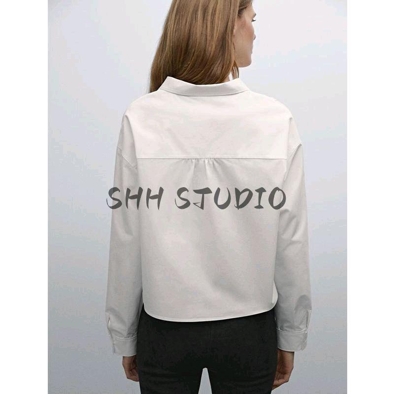Spring New Women's Clothing French-Style High-Intelligence-Sensitive and Diligent Style Short Inner Wear Long Sleeve White Shirt 5155855
