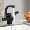 Kuchyňská Nerezová baterie Vytahovací Bidetová sprška Montáž na desku Horká Studená Směšovací baterie Černá 360° Otočná Otočná Koupelnová Umyvadlová Baterie Černá