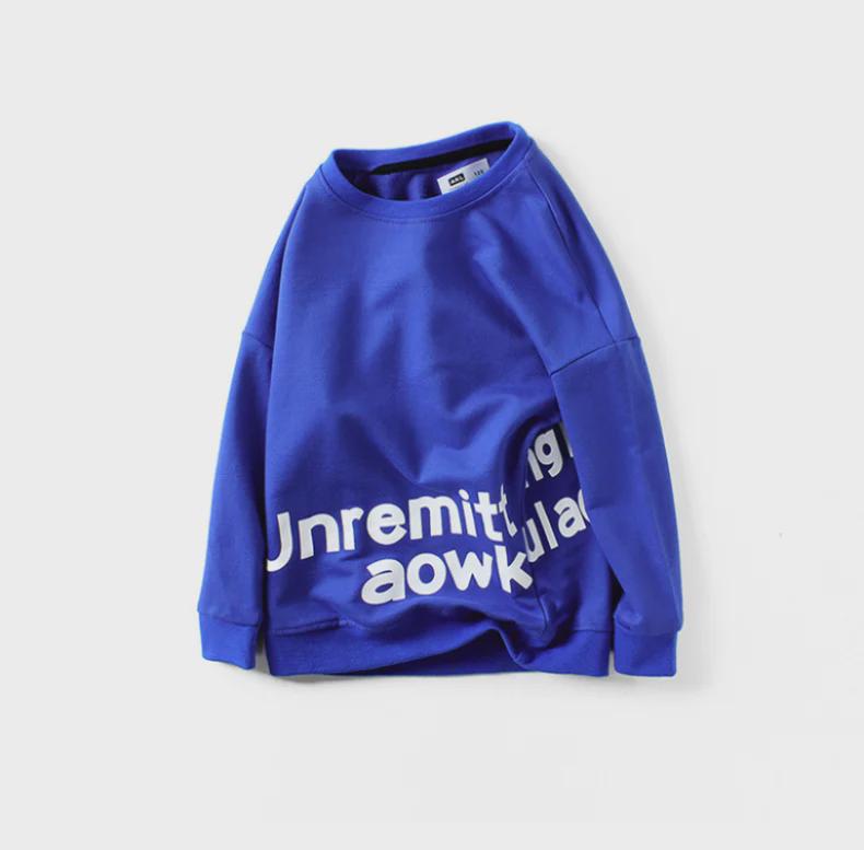 European Kids' Spring Korean-Style Sweater - Long Sleeve English Print Top for Boys