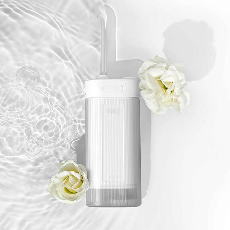 Morphy Richards MF108 Portable Water Flosser