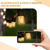 Ampoules LED E14 - NETTLIFE - T22 - 2 W - 2700K (blanc chaud) - Rétro Edison
