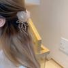 Netting and Crystal Fringe, Rose Flower Side Hairpin, Soft and Fairy-like Style, Women's Hair Accessories, Claw Clip, Hairpin