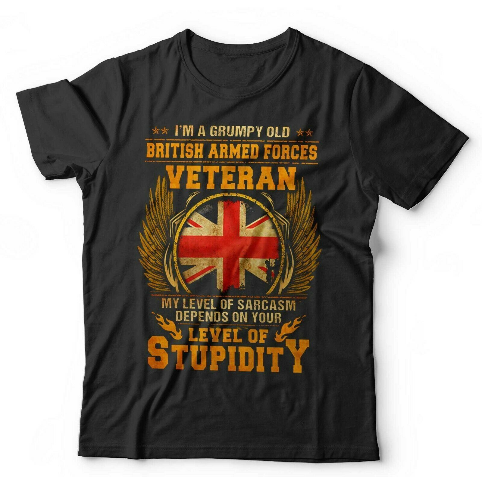I m A Grumpy Old British Armed Forces Veteran Tshirt Funny Fathers Day Gift S разноцветный