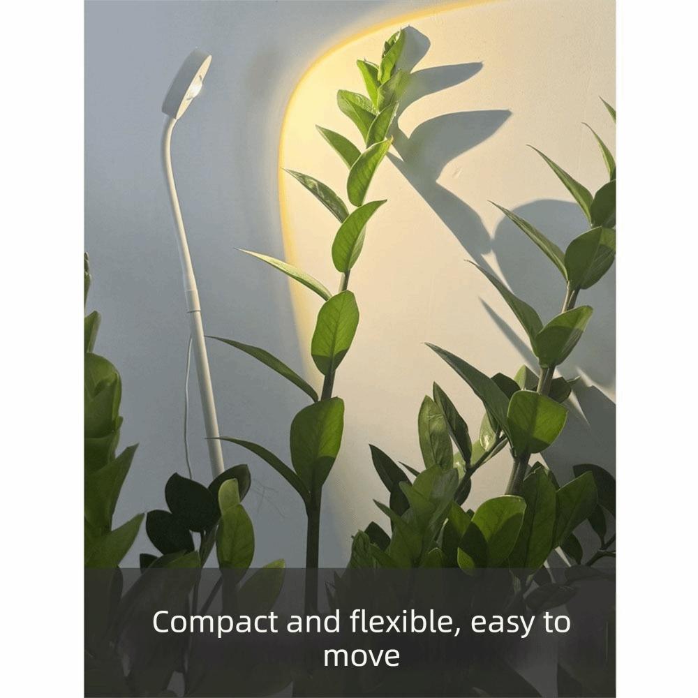 Height Adjustable LED Plant Growth Light 45/65/80cm USB Night Light Full Spectrum Light Succulents