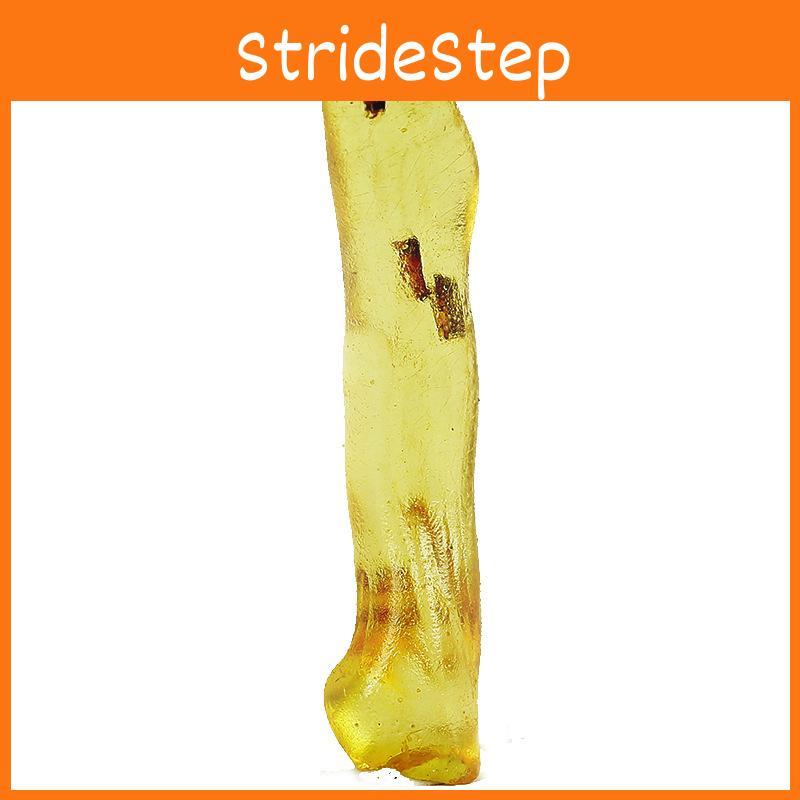 Natural Insect Amber Mineral Crystal For Unique Geological Specimens Collection**