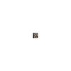 Hyack Cat Plush Toy Realistic Realistic Cat Stuffed Toy Kitten Figurine Cute (Style 2) [Parallel Import]
