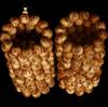 Taihang Cypress 20mm Handcrafted Bracelet: Unisex Buddhist Beads