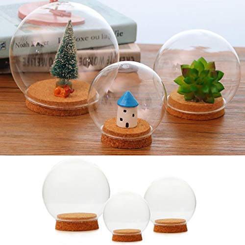 Fenteer 2-Piece 12cm Diameter Glass Dome Cover with Wood Cork, Cloche Jar Terrarium, Wedding Reception Decoration, Miniature Craft